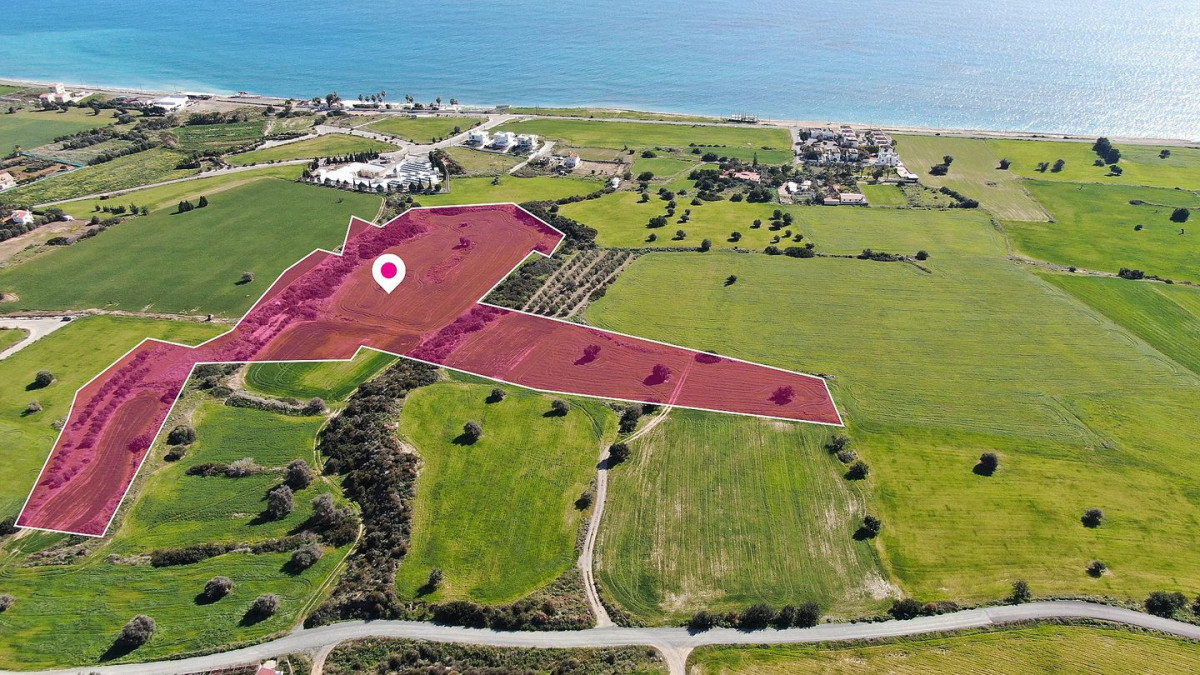 (Share) Touristic Field in Agios Theodoros, Larnaca