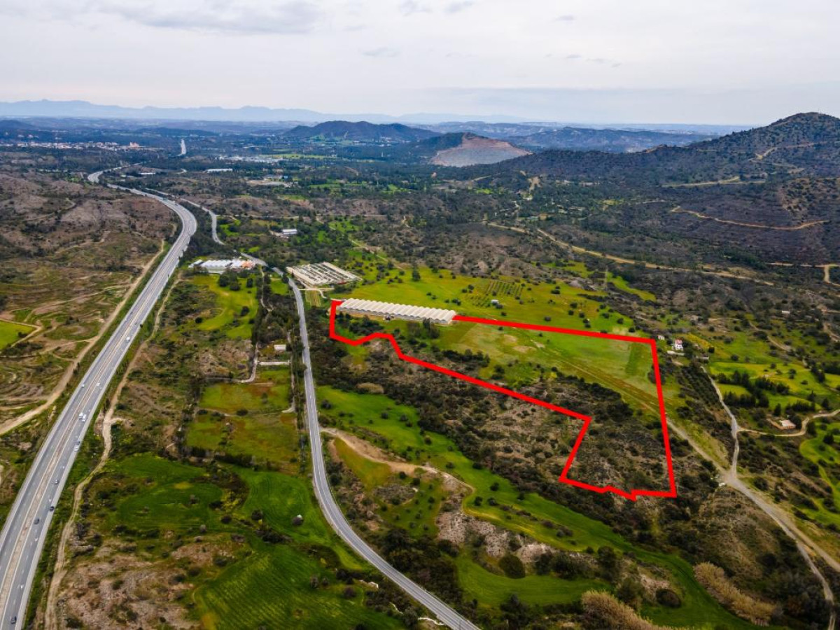 Field in Kornos, Larnaca