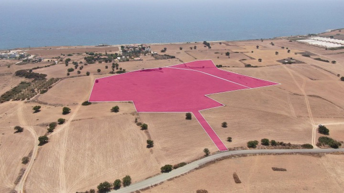 Two Adjacent Touristic Fields in Agios Theodoros, Larnaca
