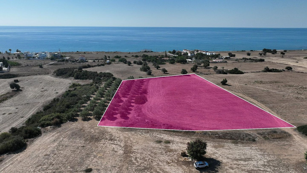 Touristic Field in Agios Theodoros, Larnaca