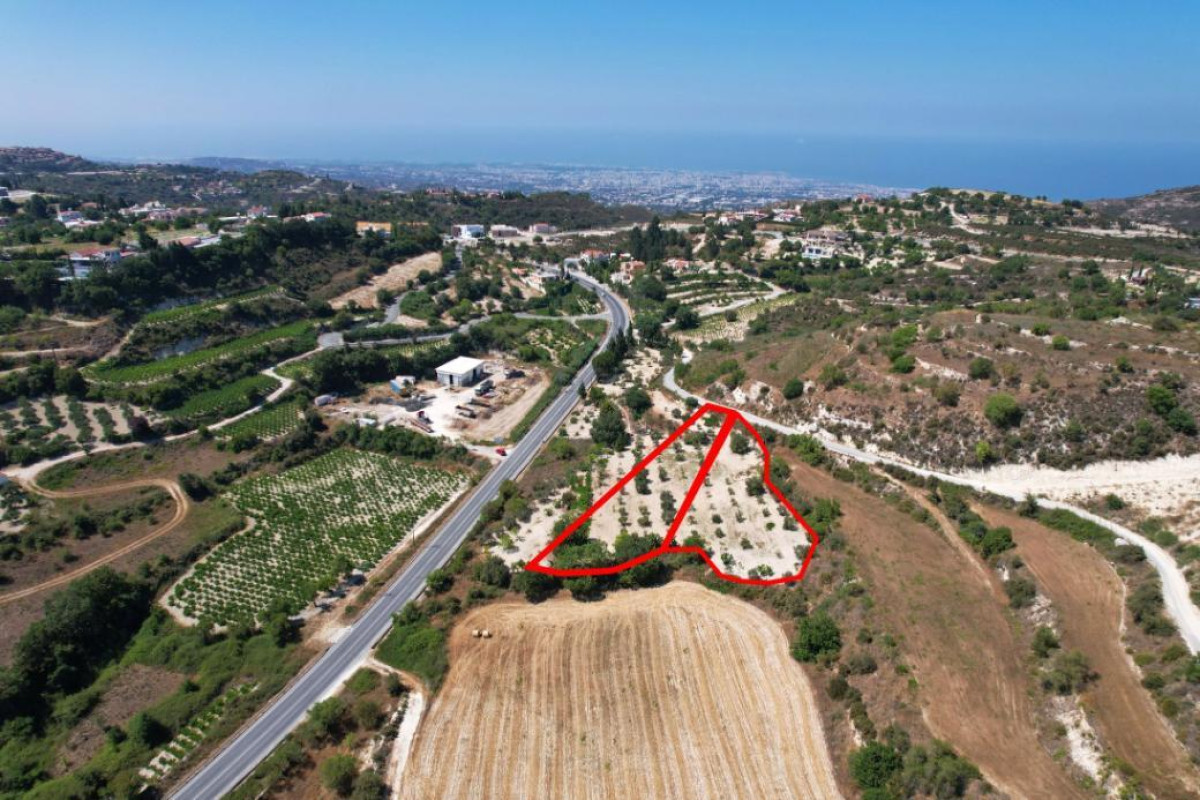 Two Residential Fields in Tsada, Paphos