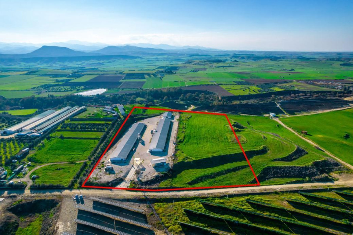 Field with Poultry Farm in Agios Ioannis Malountas, Nicosia