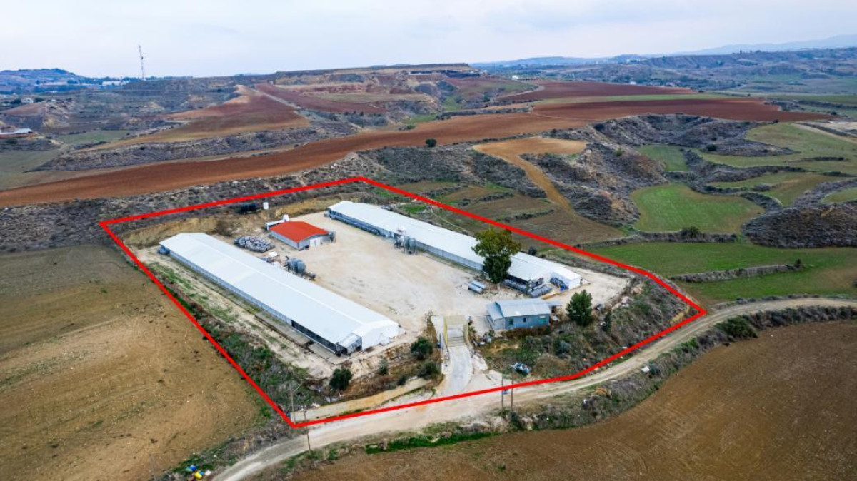 Field with Poultry Farm in Agios Ioannis Malountas, Nicosia