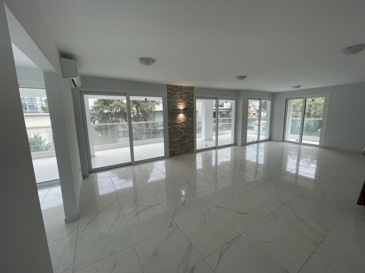 Four Bedroom Apartment in Egkomi, Nicosia