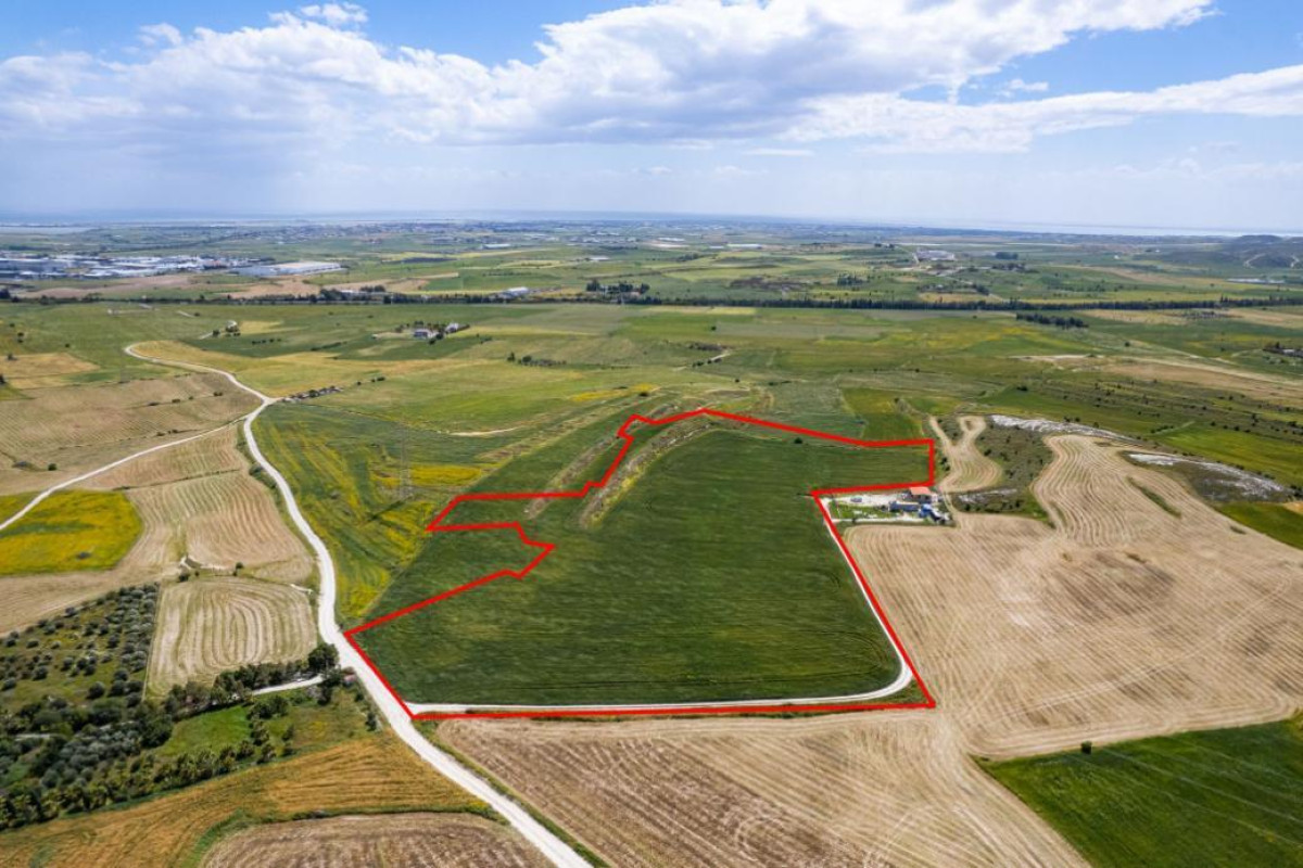 Agricultural Field in Kalo Chorio, Larnaca