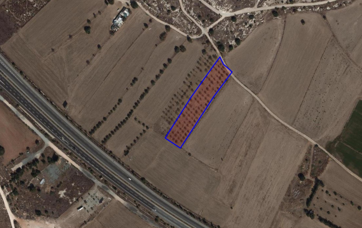 Agricultural Field in Konia, Paphos