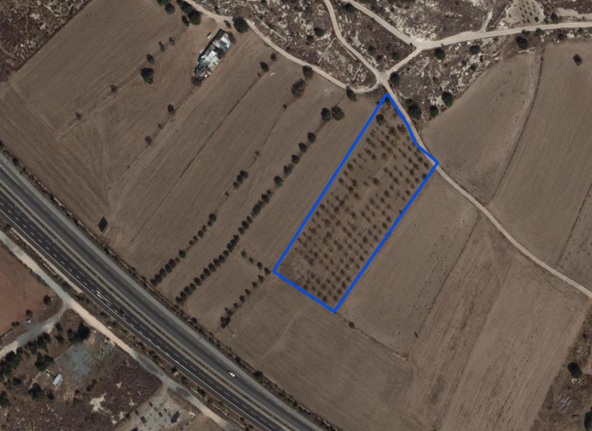 Agricultural Field in Konia, Paphos