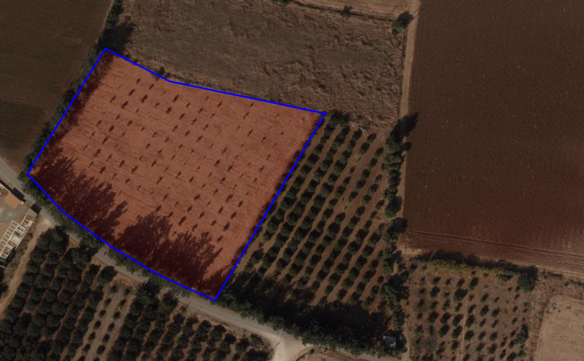 Residential Field in Mandria, Paphos