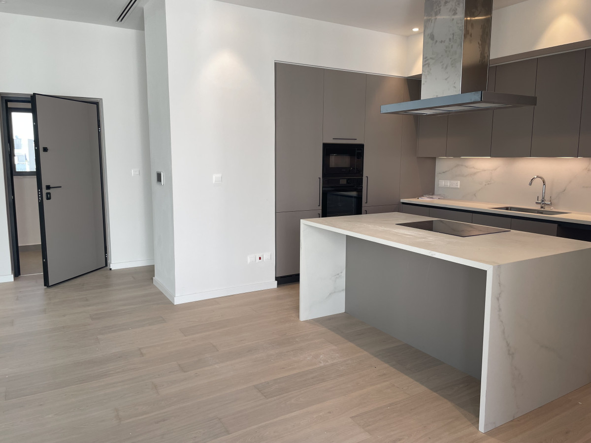 Four Bedroom Apartment in Agioi Omologites, Nicosia