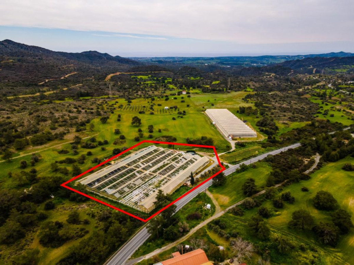 Field in Kornos, Larnaca