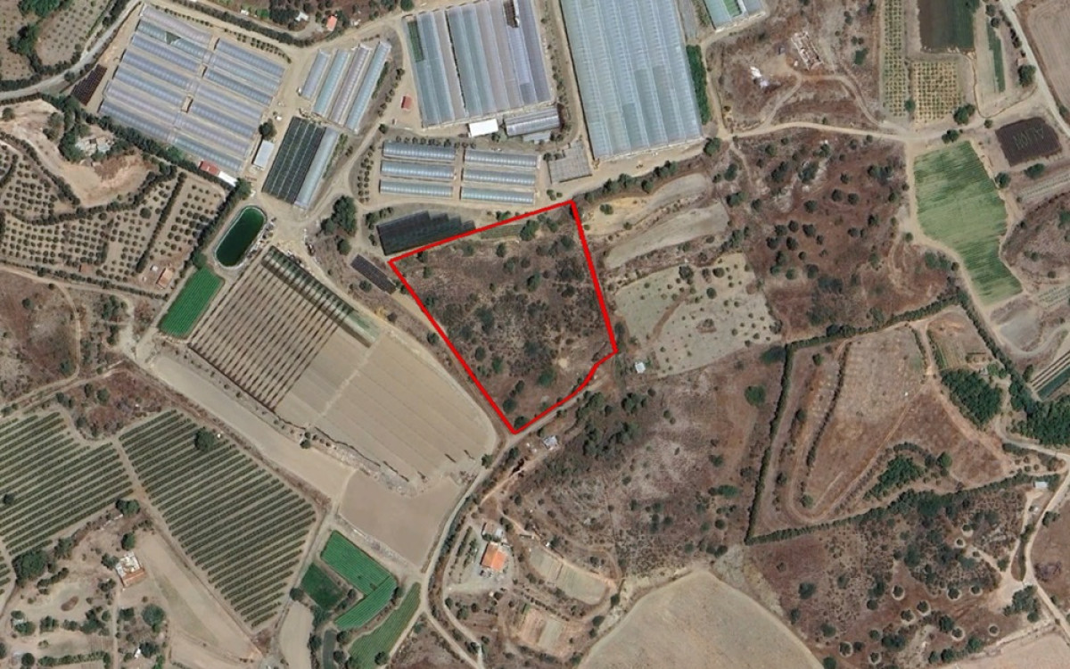 Field in Monagroulli, Limassol