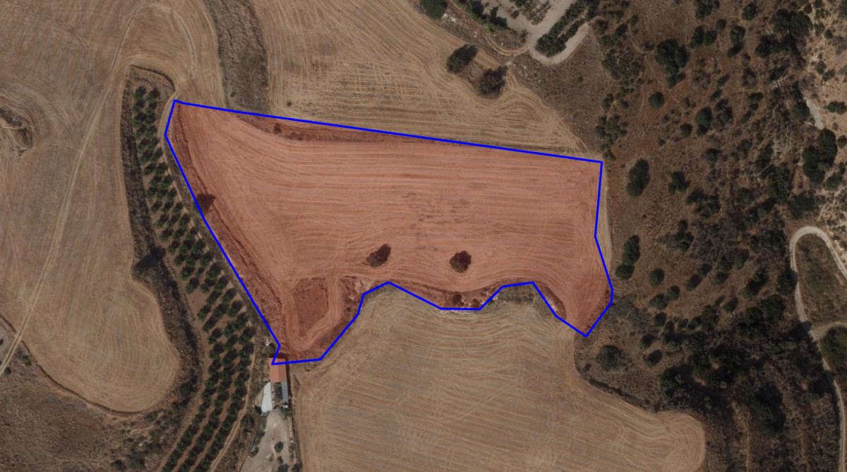 Agricultural Land in Kouklia, Paphos