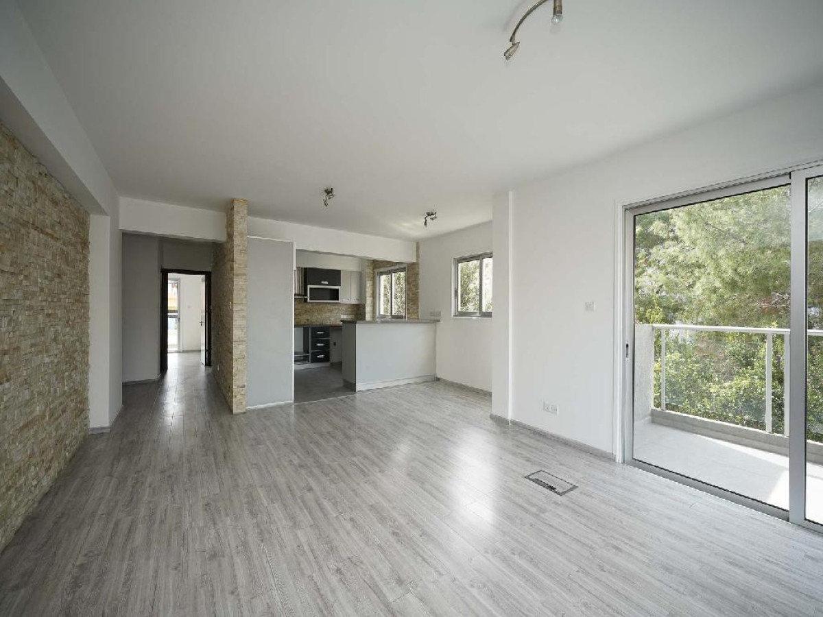 Three Bedroom Apartment in Pallouriotissa, Nicosia