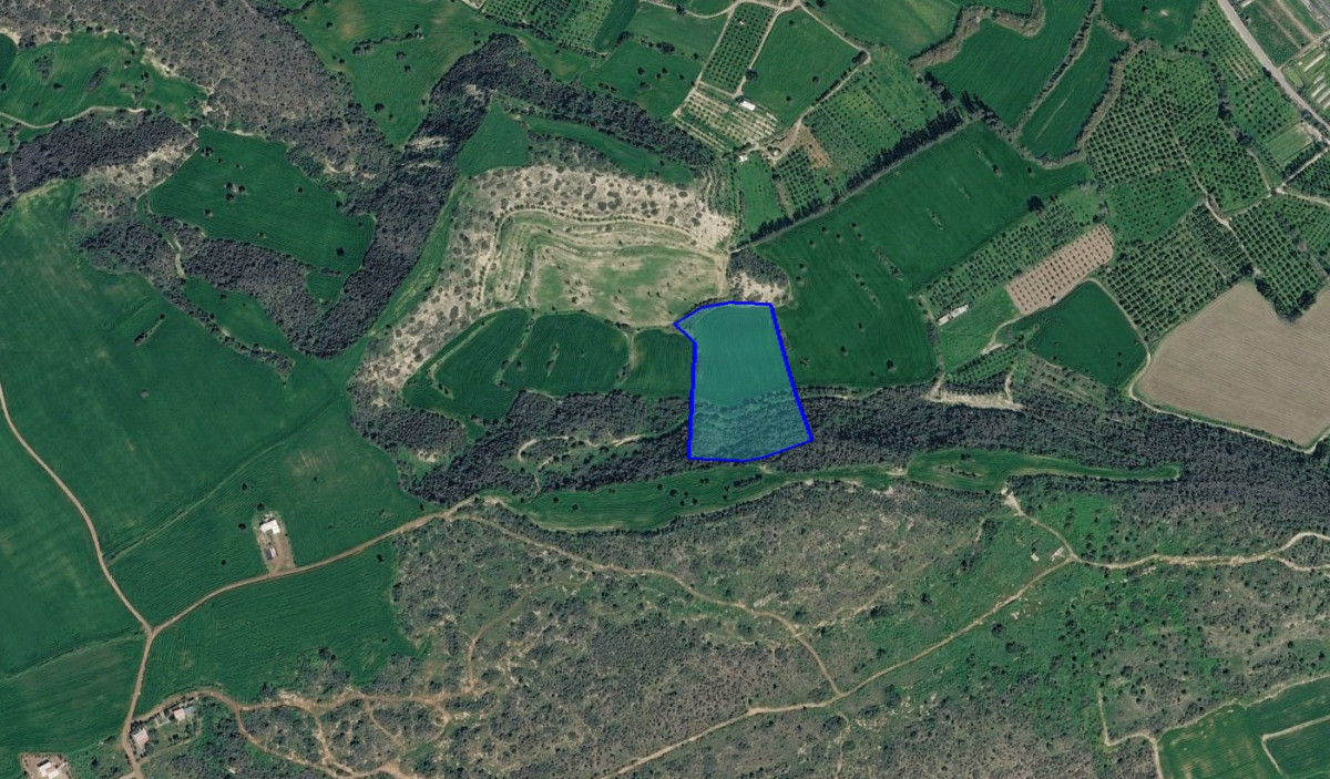 Agricultural Land in Agios Theodoros, Larnaca