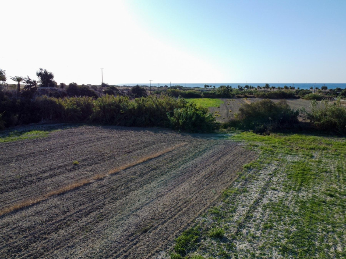 Touristic Fields in Alaminos, Larnaka
