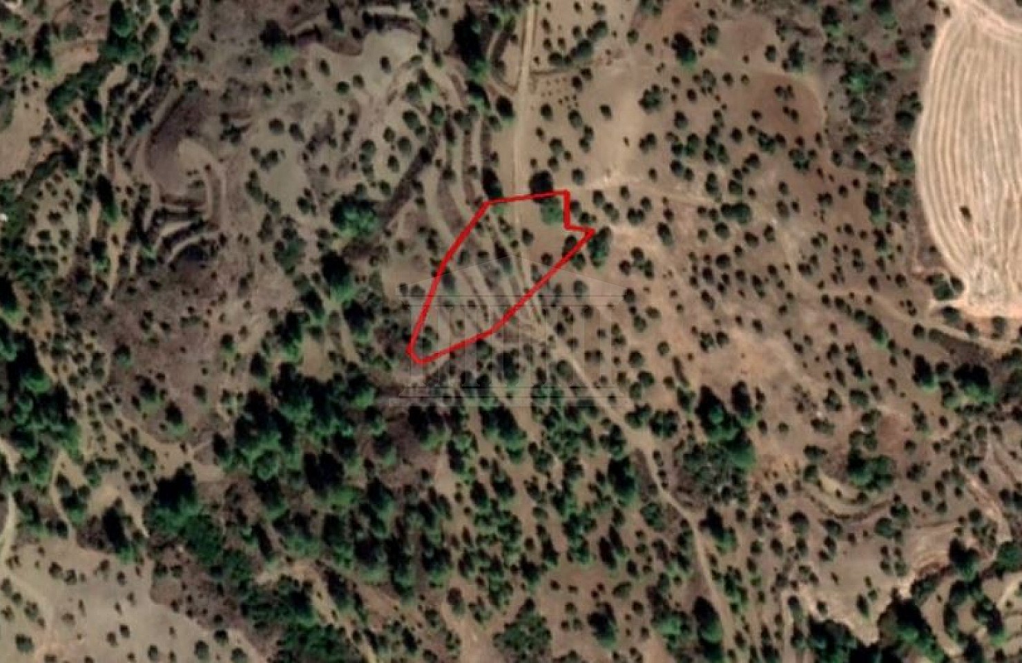 Field in Pano Lefkara, Larnaca Delfi Properties Cyprus