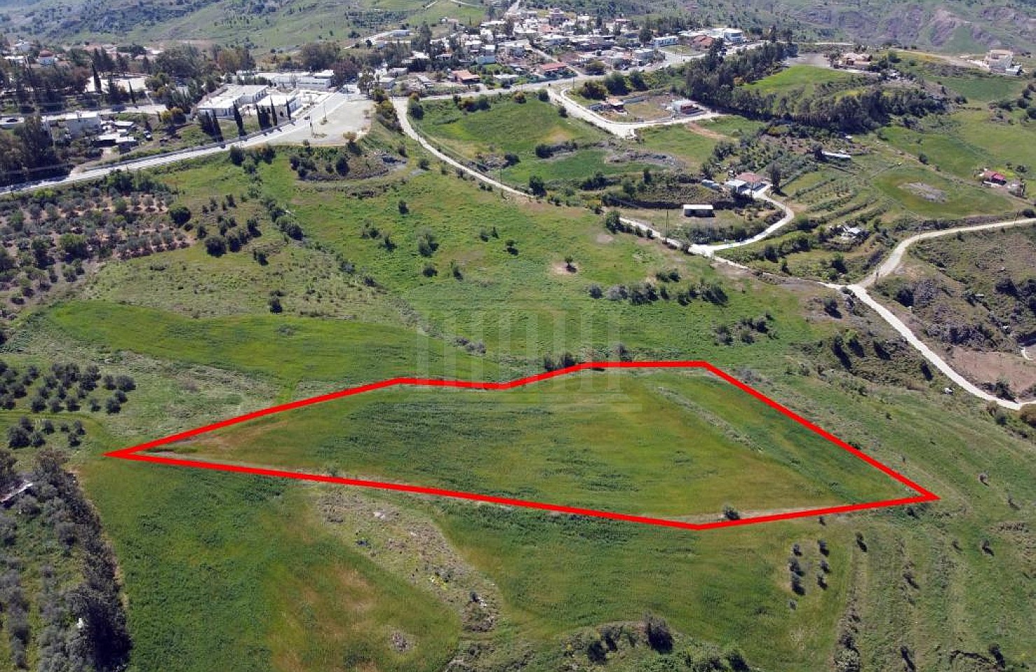 Field in Choletria, Paphos